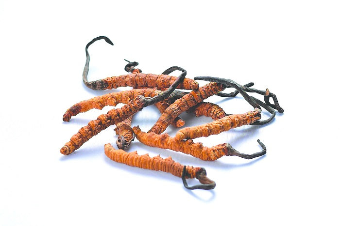 7 Things About Cordyceps That Will Surprise You