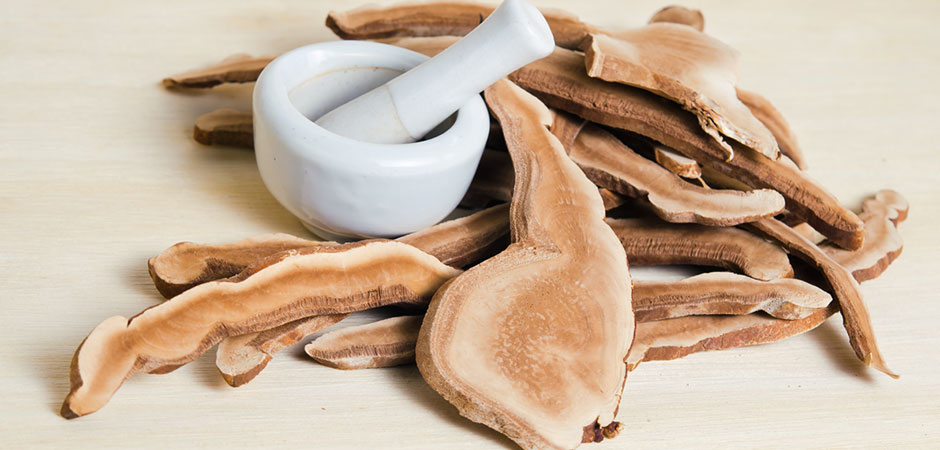 Maximising the Effects of Lingzhi