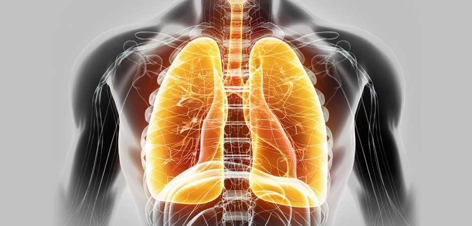 TCM: Understanding The Role Of The Lungs