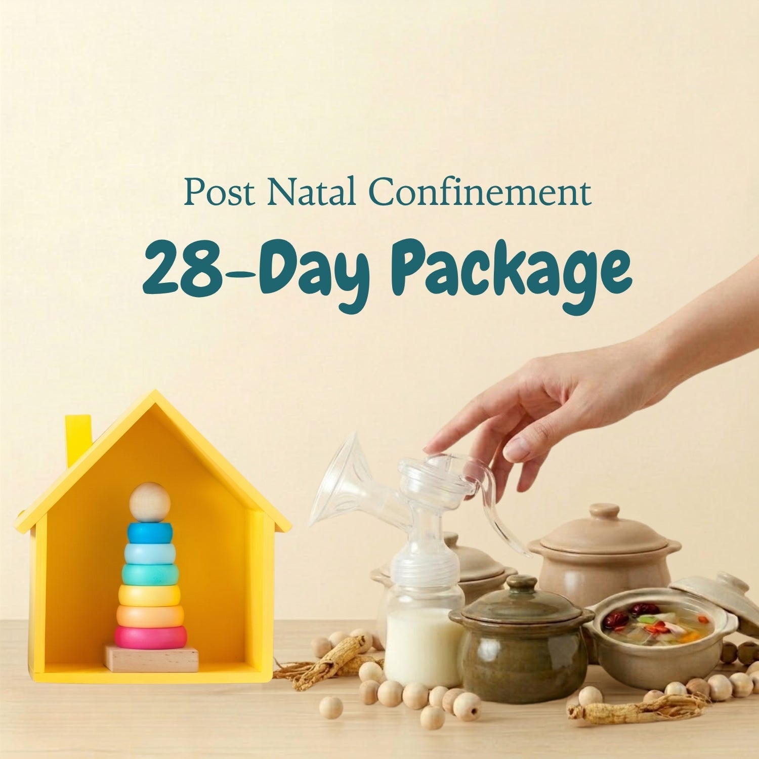 28 Day Postnatal Confinement Package (坐月護航配套)