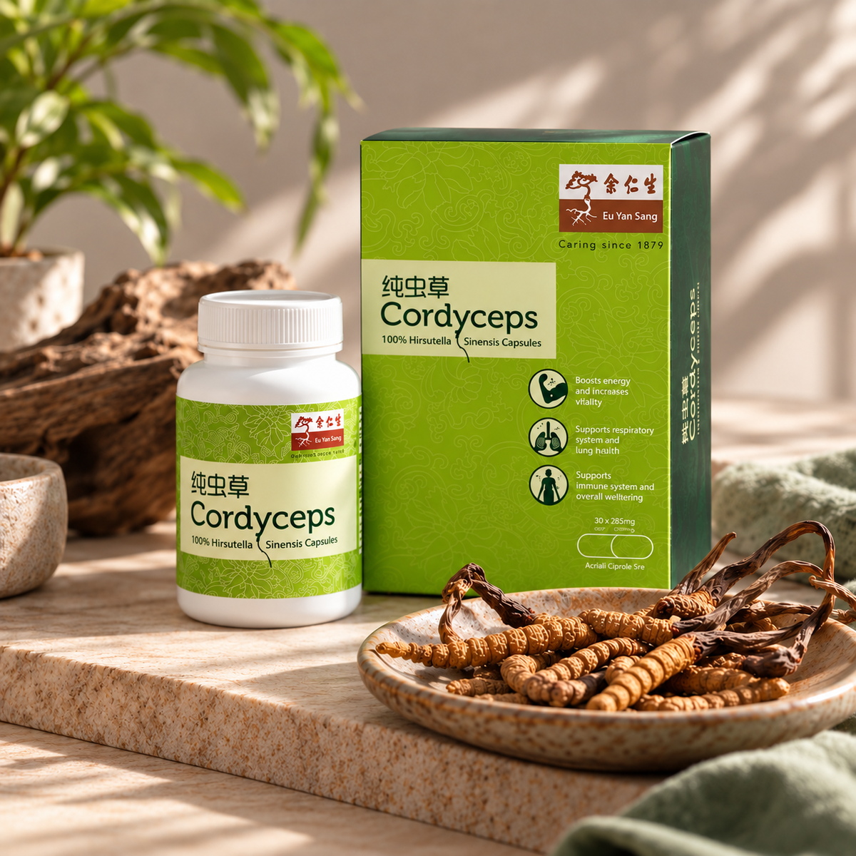 Cordyceps (Hirsutella Sinensis) Capsules, 60 Caps