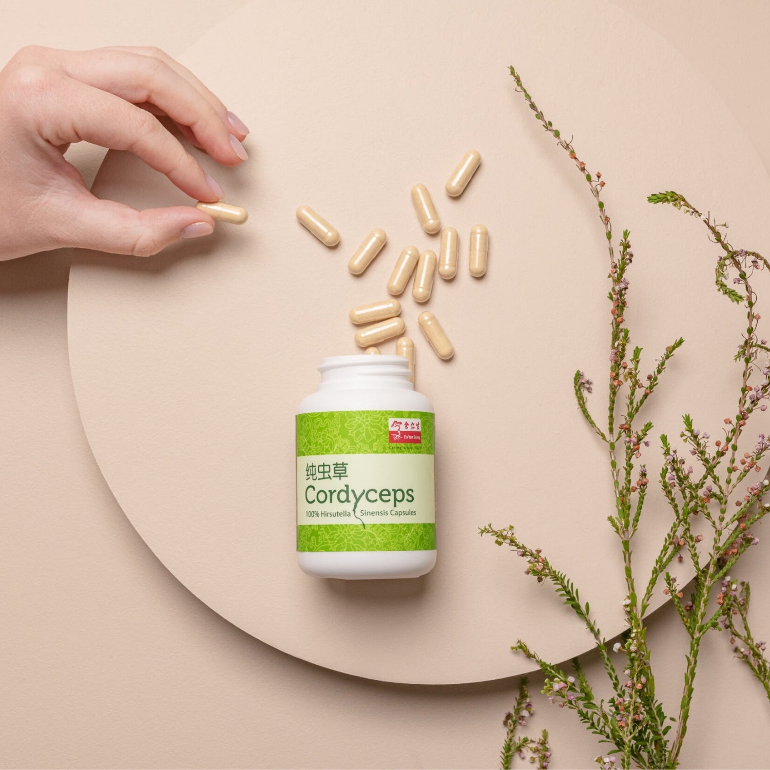 Cordyceps (Hirsutella Sinensis) Capsules, 60 Caps