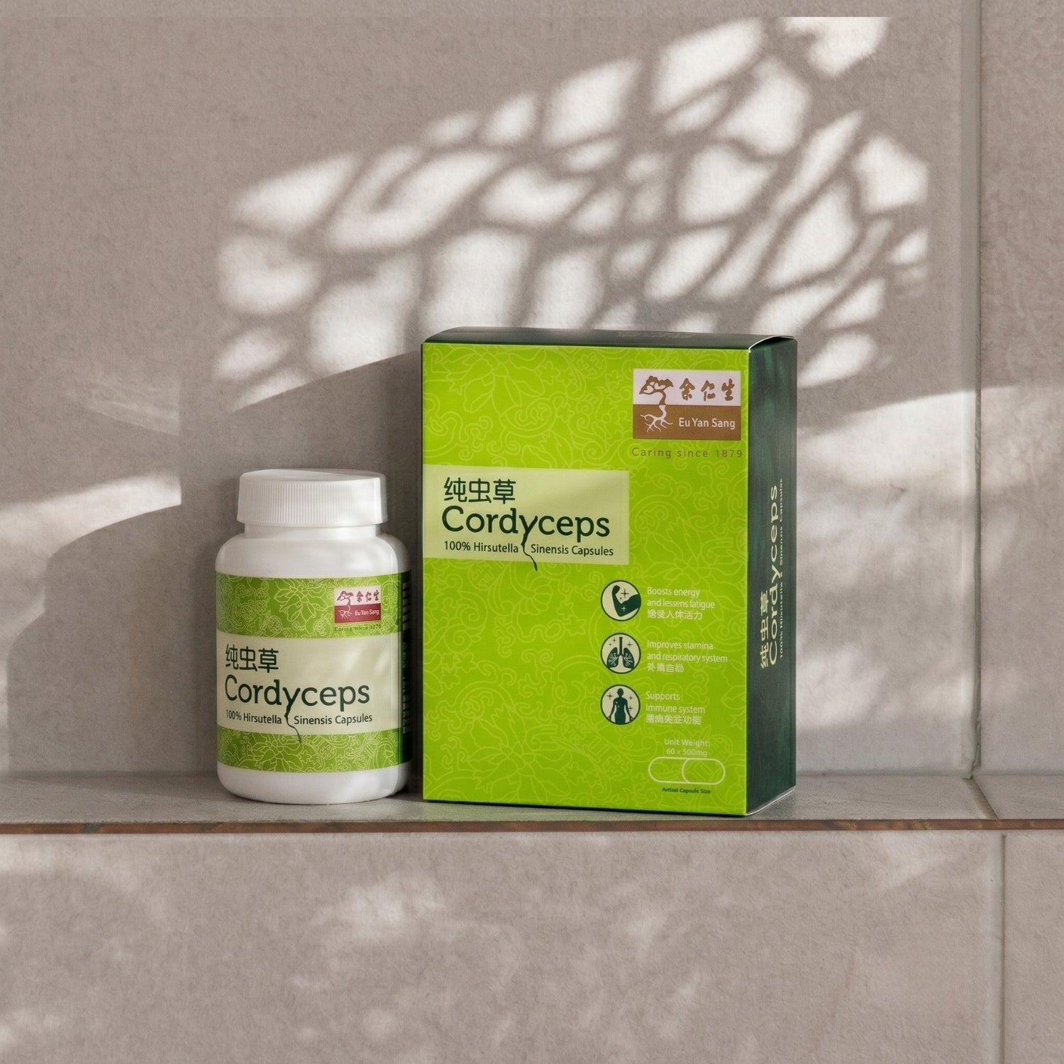 Cordyceps (Hirsutella Sinensis) Capsules, 60 Caps