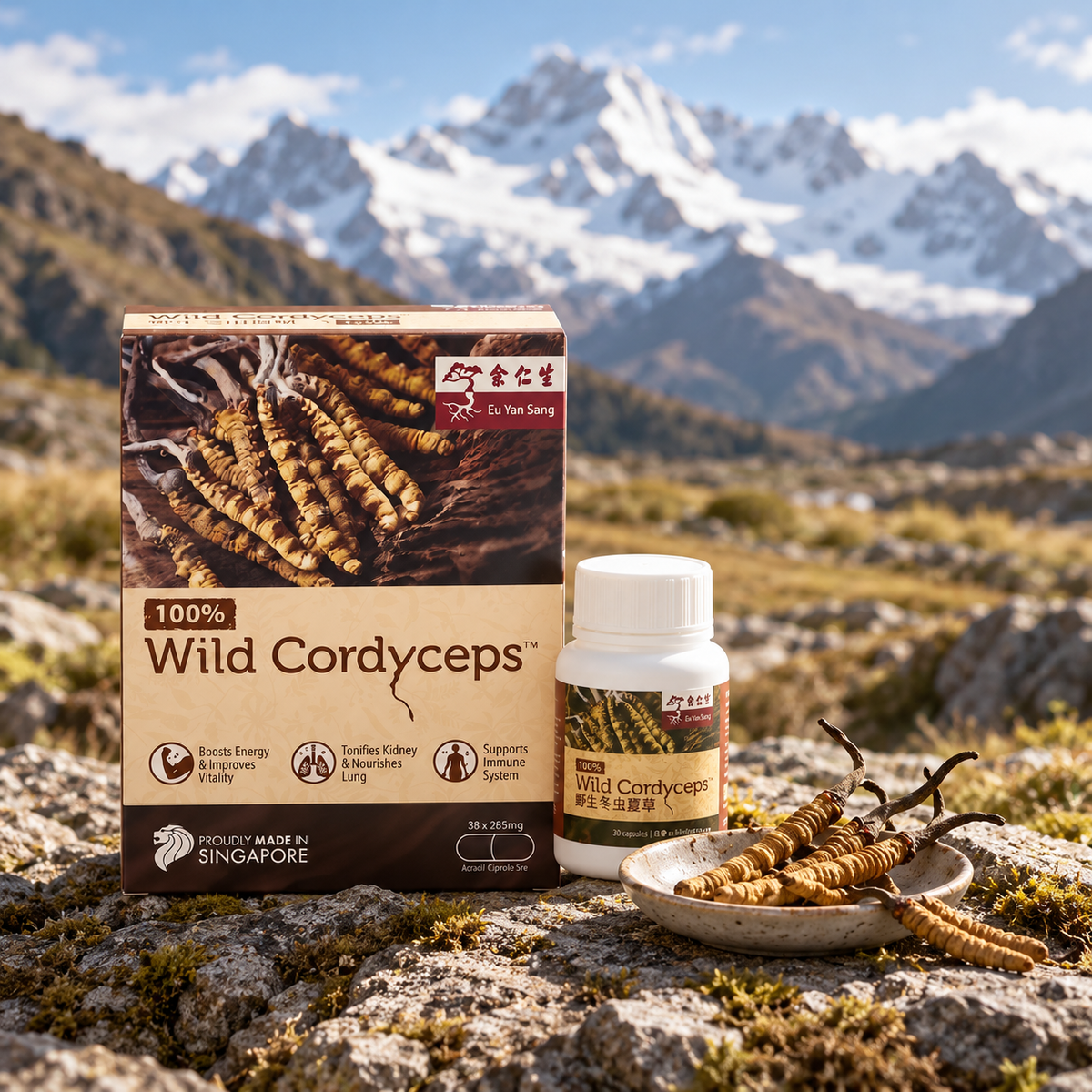 Wild Cordyceps Capsules