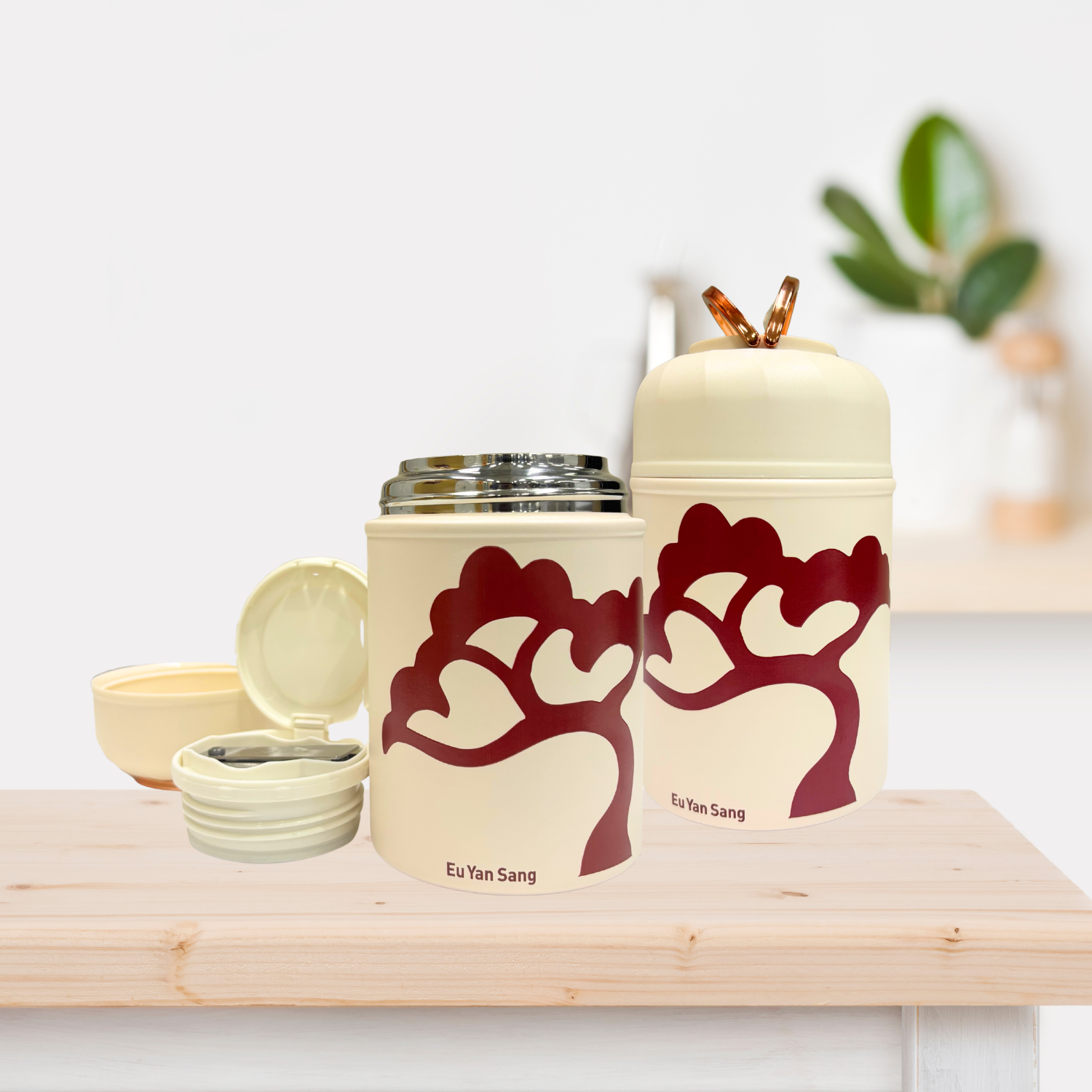 EYS Stainless Steel Thermal Food Jar (500ml) with Foldable Spoon