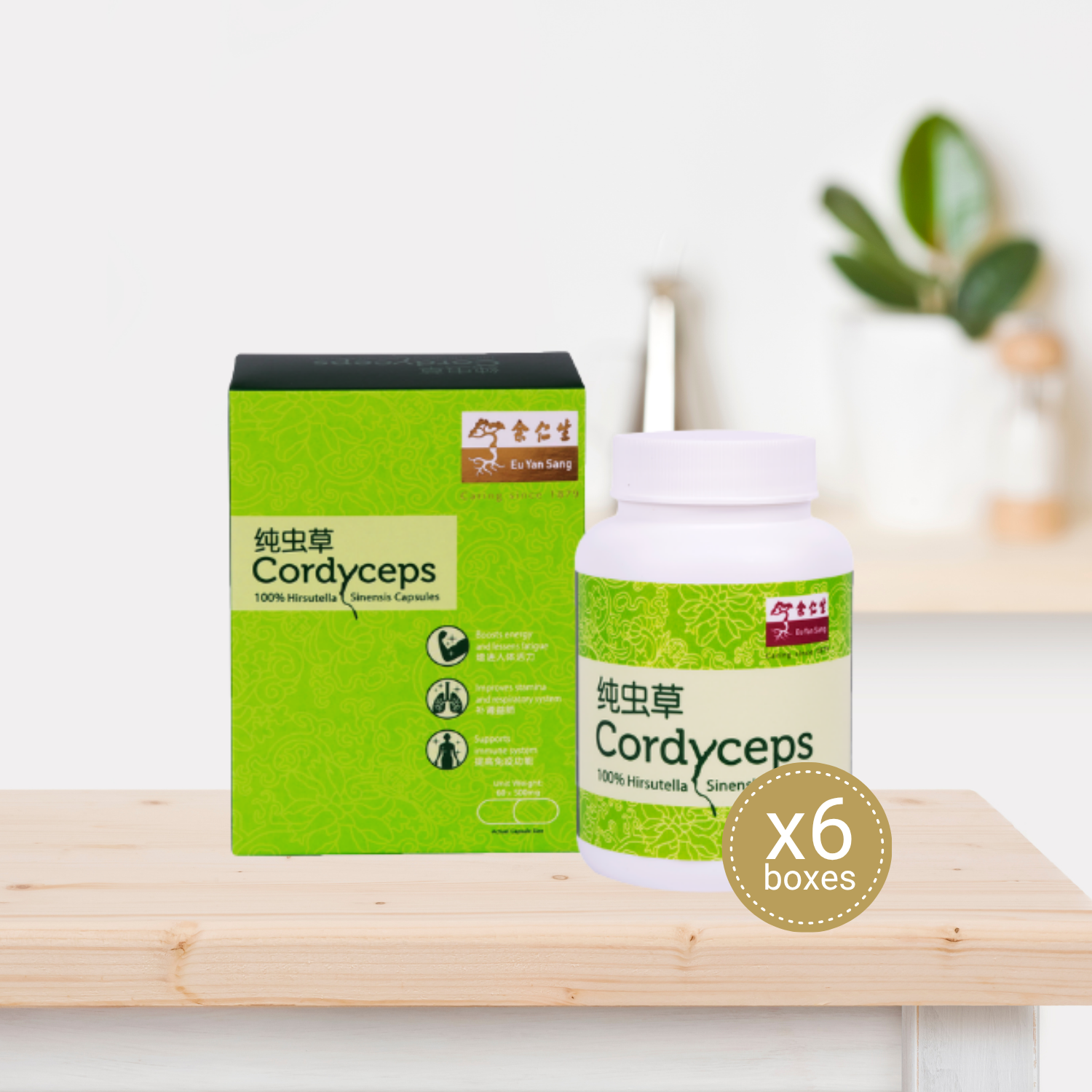 Cordyceps Capsules - 6 bottles