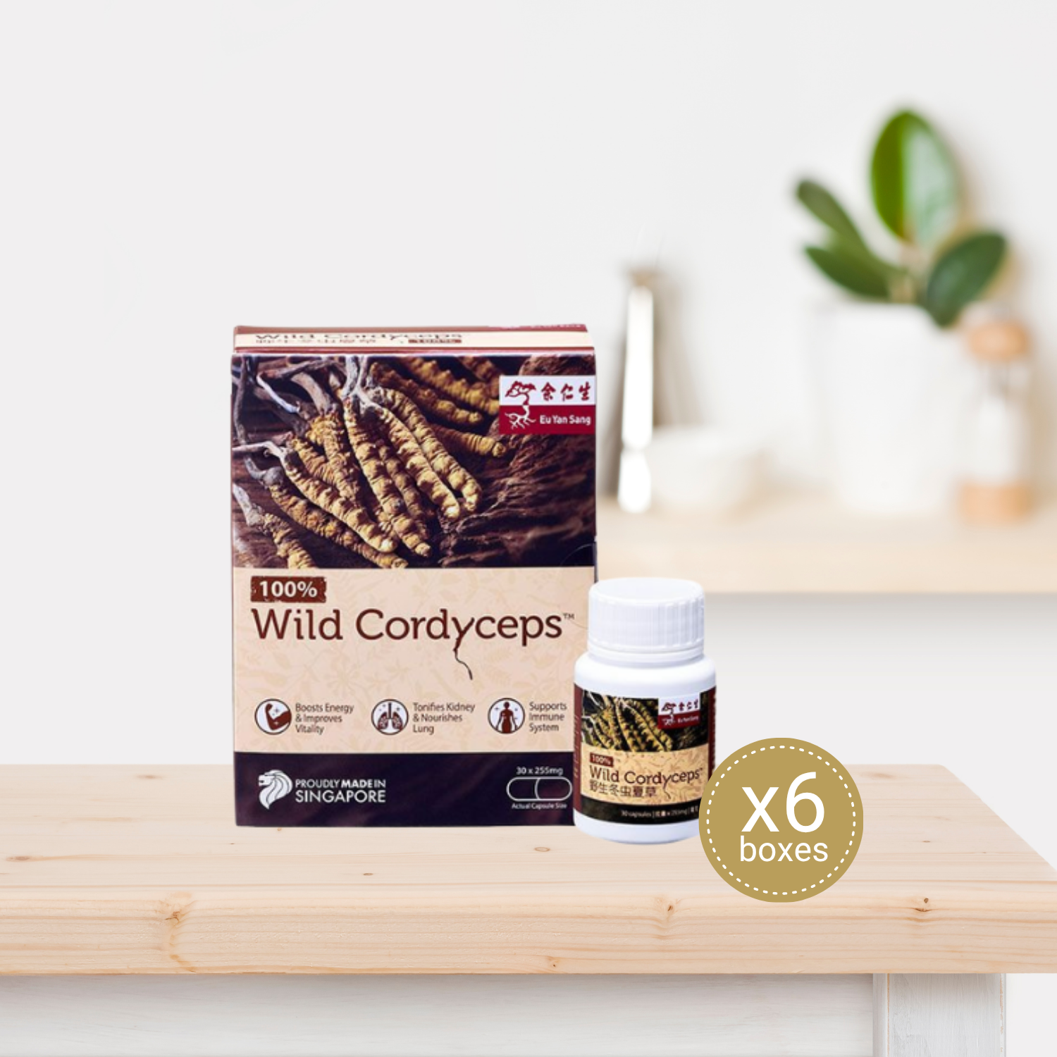 Wild Cordyceps Capsules - 6 bottles