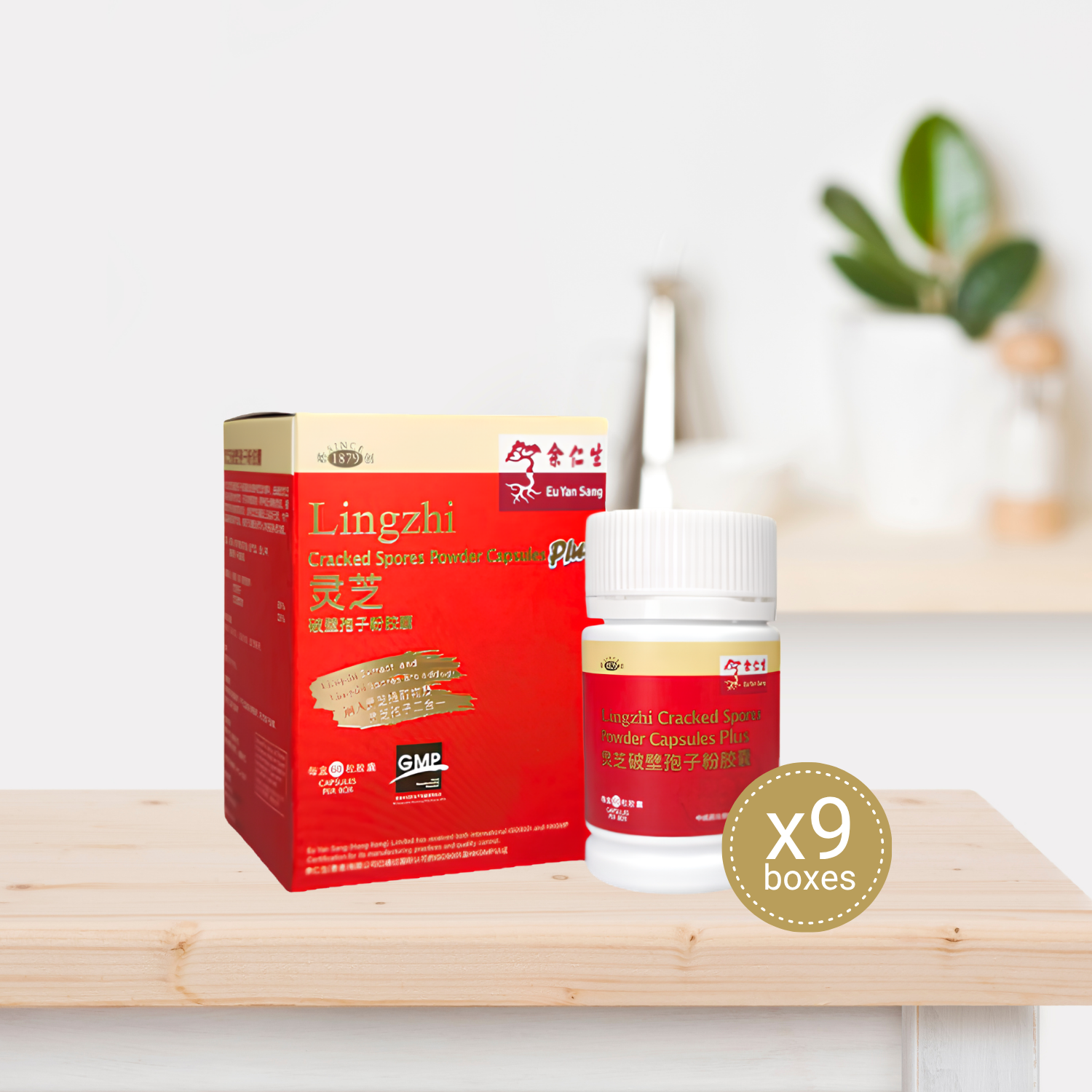 Lingzhi Cracked Spores Powder Capsules Plus - 9 Bottles