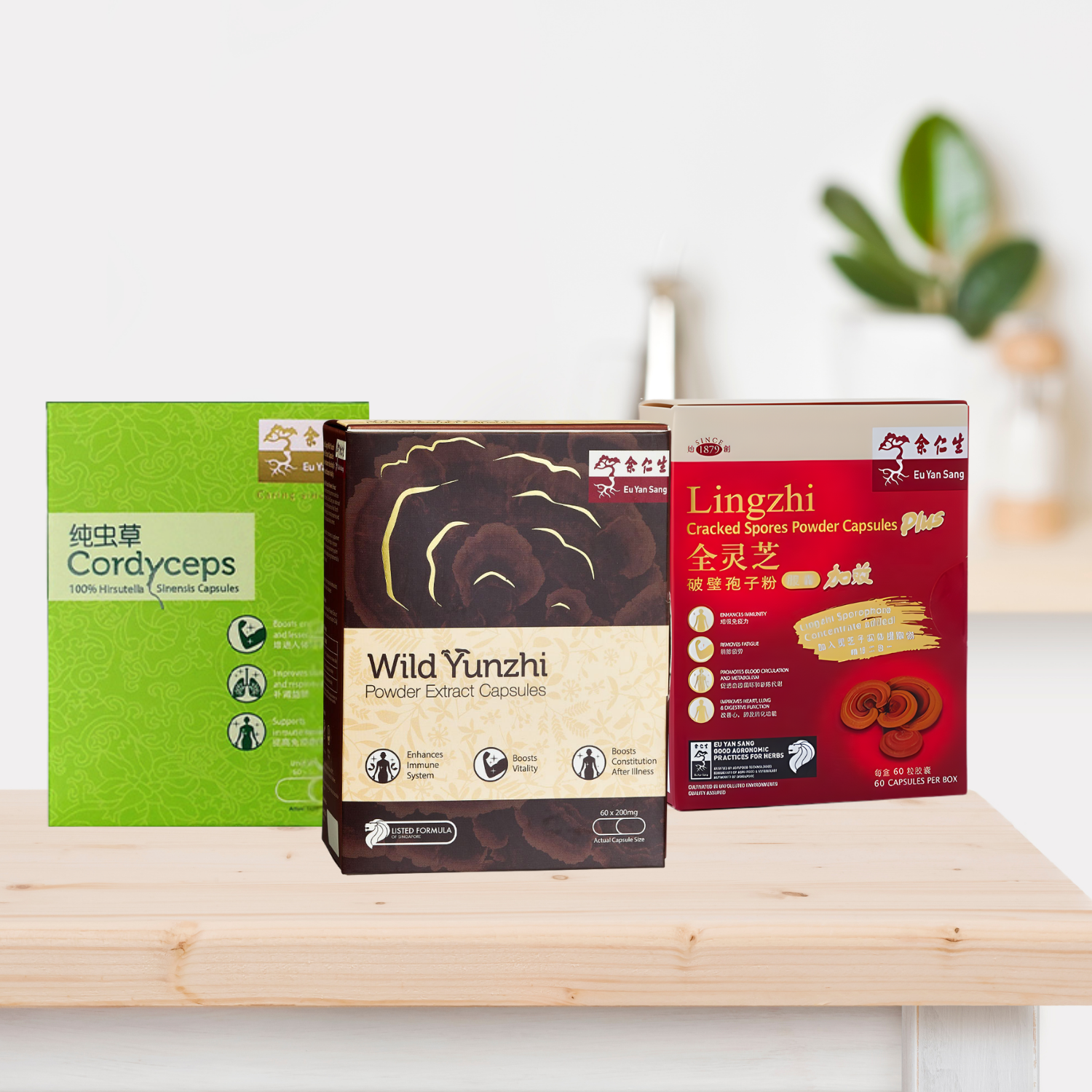 Superfood Mushrooms Bundle II