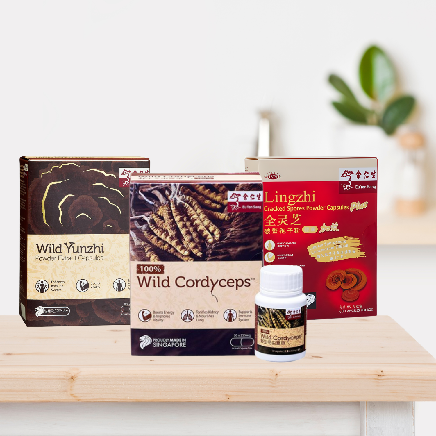 Superfood Mushrooms Bundle I