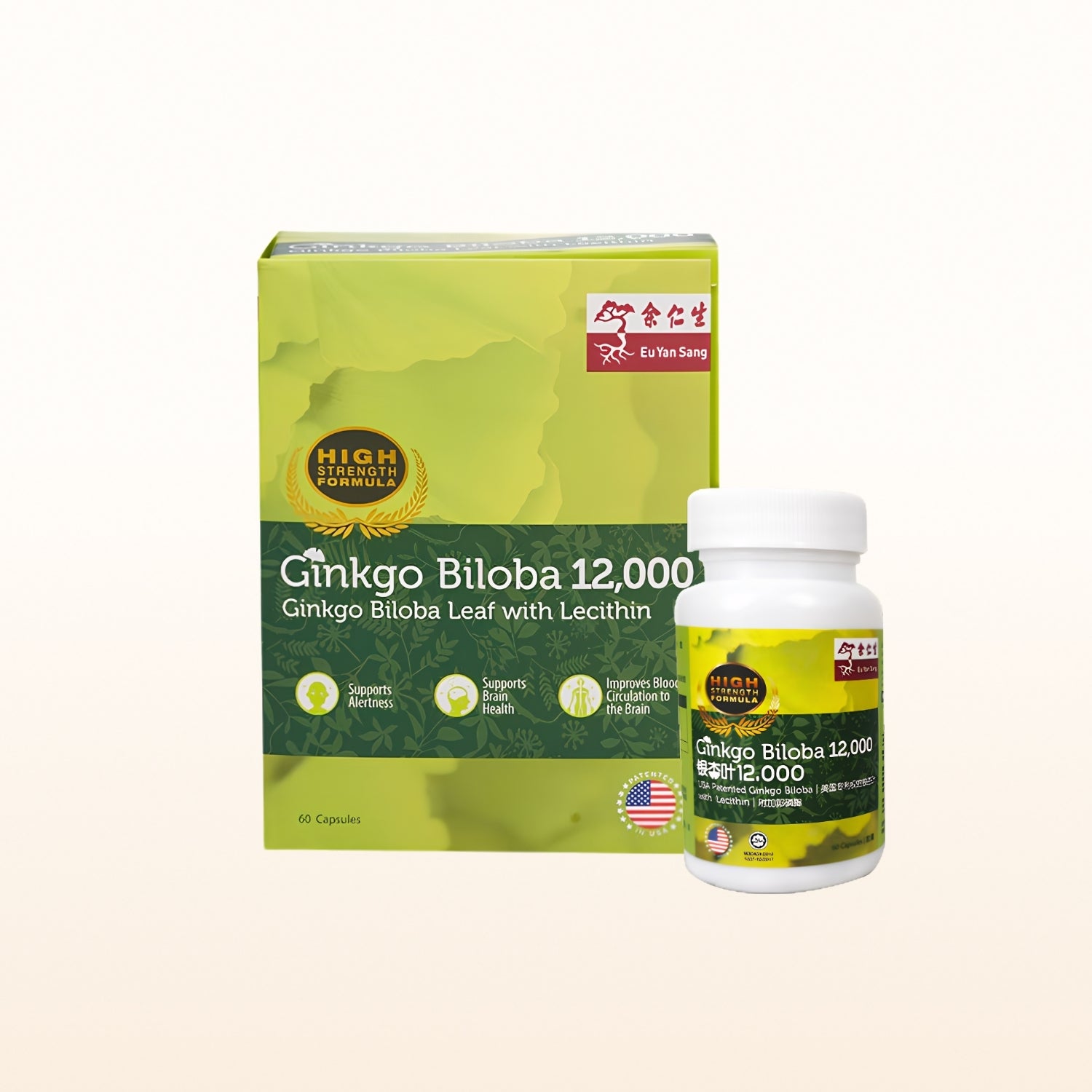 Ginkgo Biloba 12,000mg With Lecithin (12,000)
