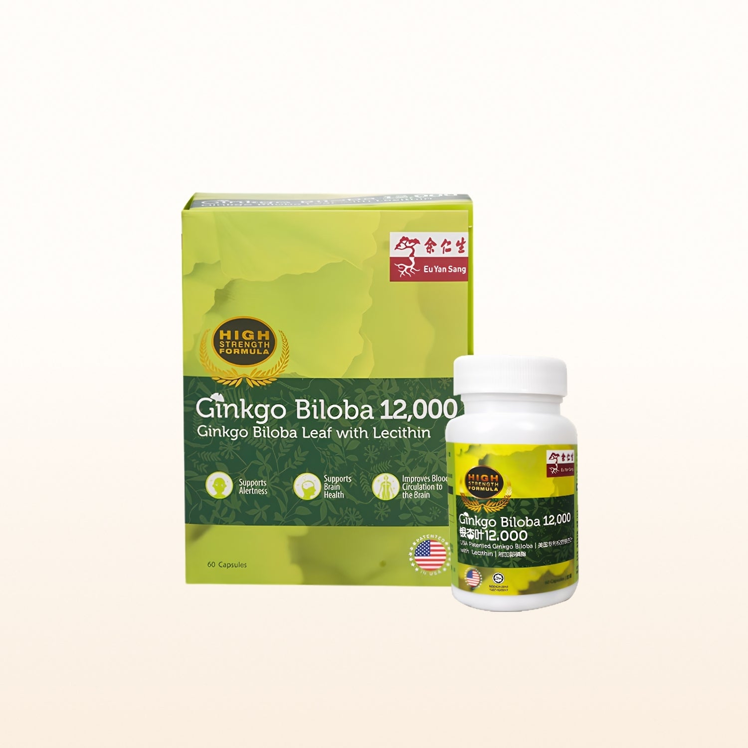 Ginkgo Biloba 12,000mg With Lecithin (12,000)
