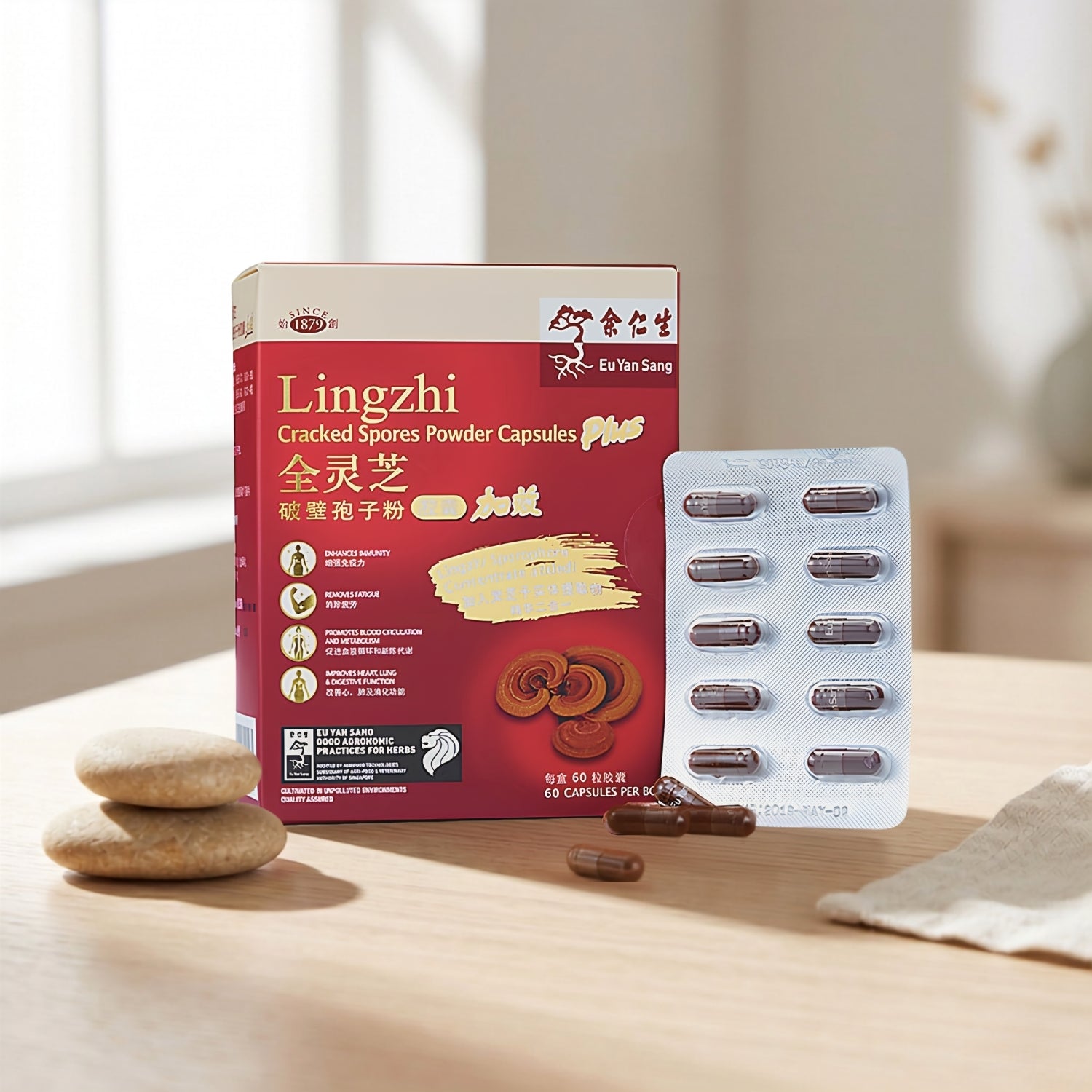 Lingzhi Cracked Spores Powder Capsules Plus- Blister