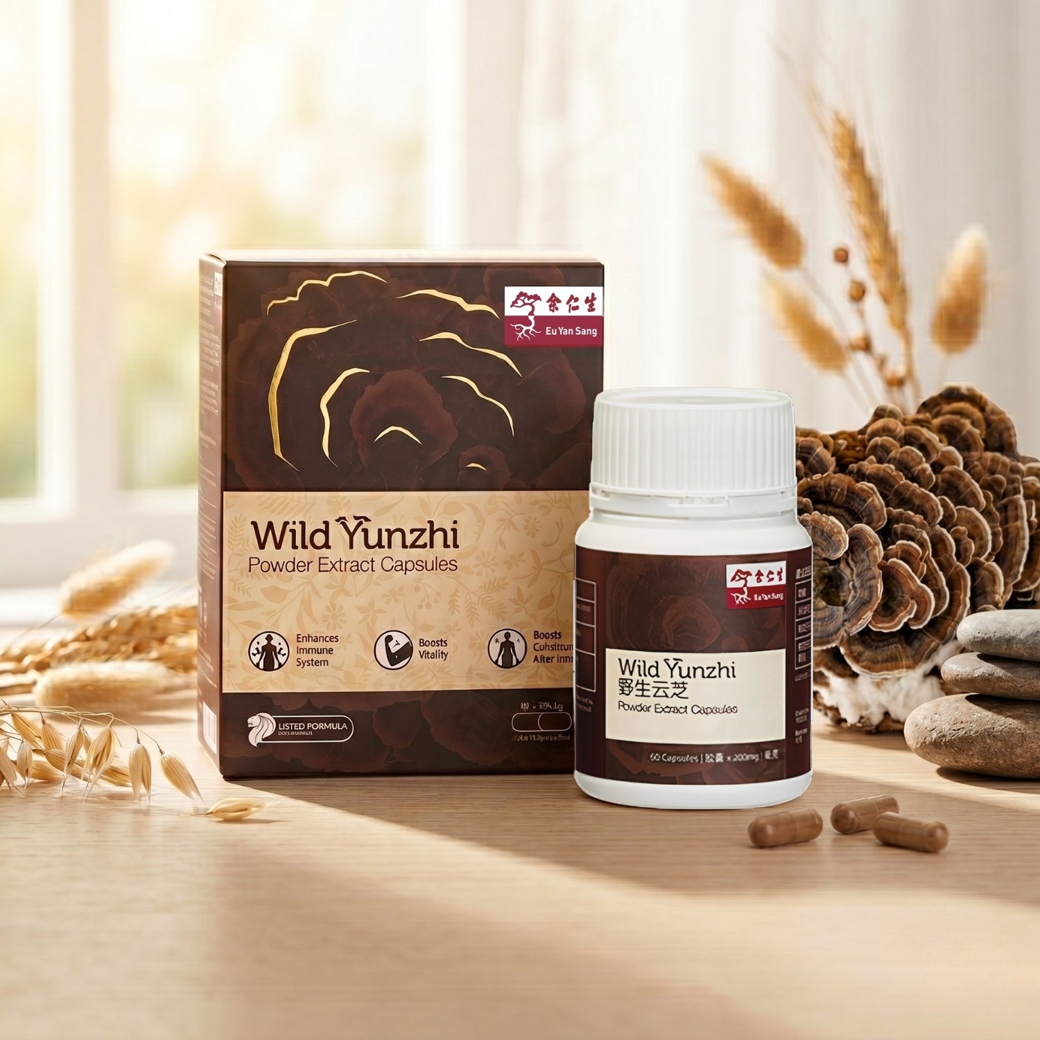 Wild Yunzhi Powder Extract Capsules